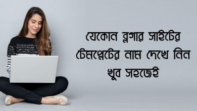 Blogger Template Name Check ব্লগার সাইটের টেমপ্লেটের নাম দেখে