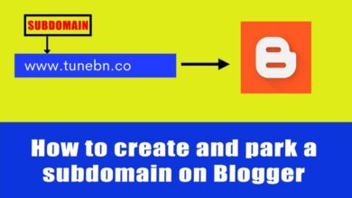 ব্লগারে সাব ডোমেইন পার্ক