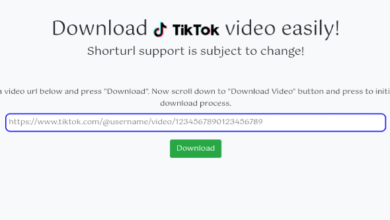 TikTok Video Downloader Php Script TikTok Video Downloader Php Script