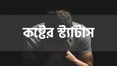 Koster Status কষ্টের স্ট্যাটাস আর্টিকেলের থাম্বনেইল