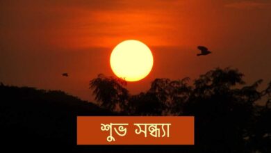 শুভ সন্ধ্যা