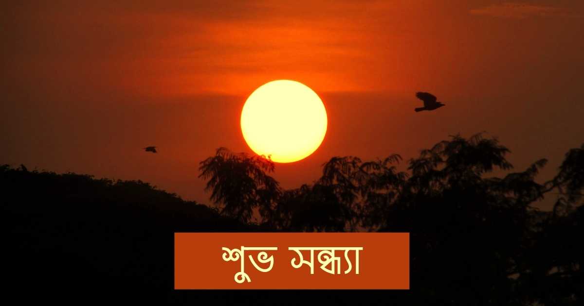 শুভ সন্ধ্যা