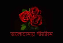 ভালোবাসার স্ট্যাটাস