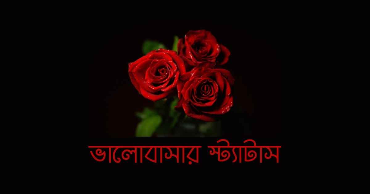 Love status ভালোবাসার স্ট্যাটাস