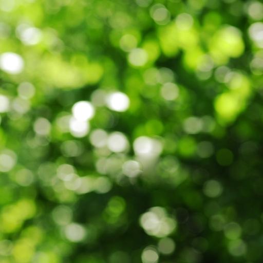 Chobi Edit Korar Background 3 ছবি এডিট করার ব্যাকগ্রাউন্ড ৩