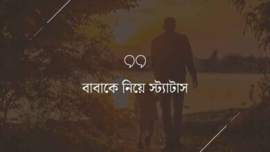 Babake niye status বাবাকে নিয়ে স্ট্যাটাস
