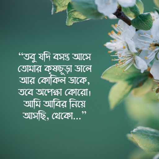 বসন্তের স্ট্যাটাস ছবি ১