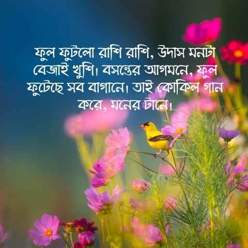 বসন্তের স্ট্যাটাস ছবি ৩