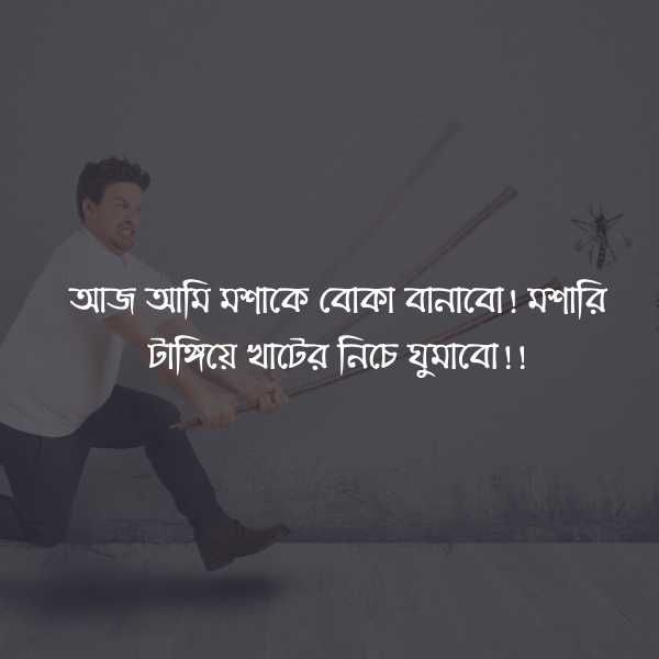 ফানি স্ট্যাটাস বাংলা ছবি ৩