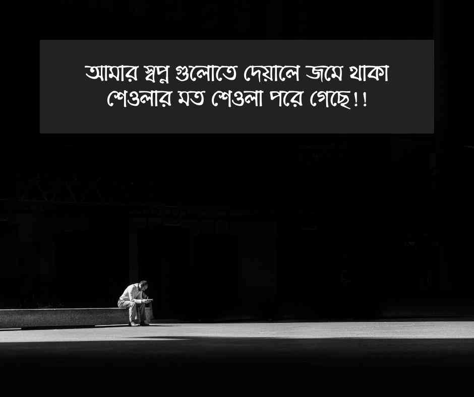 Koster Sondo Pic 5 কষ্টের ছন্দ ছবি ৫