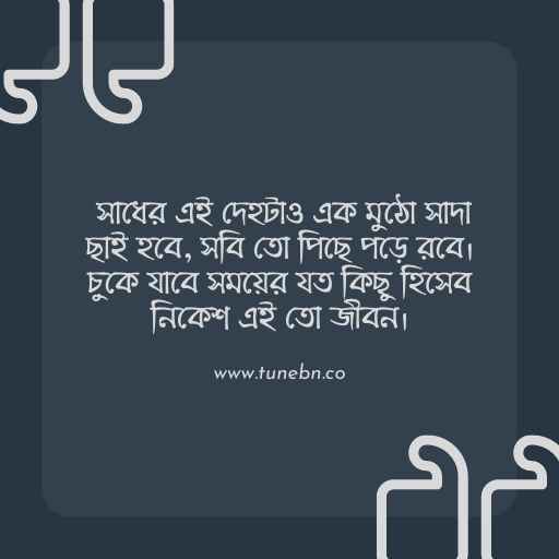 বাংলা ক্যাপশন ছবি ১