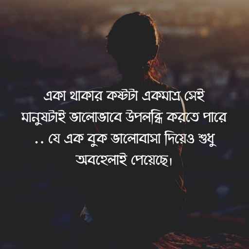 Bangla Chondo Pic 2 বাংলা ছন্দ ছবি ২