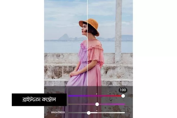 ব্রাইটনেস কন্ট্রোল