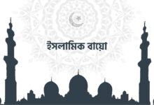 ইসলামিক বায়ো