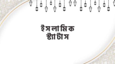 Islamic status ইসলামিক স্ট্যাটাস