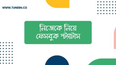 Nijeke niye facebook status thumb নিজেকে নিয়ে ফেসবুক স্ট্যাটাস