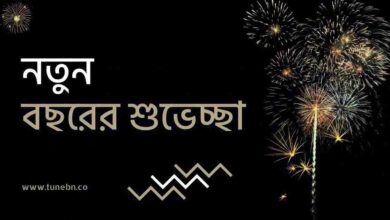 Happy new year নতুন বছরের শুভেচ্ছা