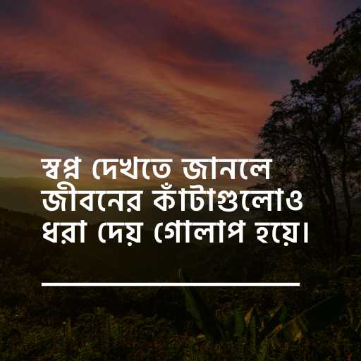 অসাধারন কিছু স্ট্যাটাস ছবি ১