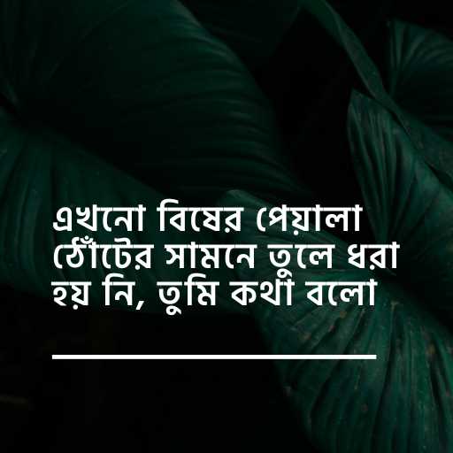 অসাধারন কিছু স্ট্যাটাস ছবি ৩