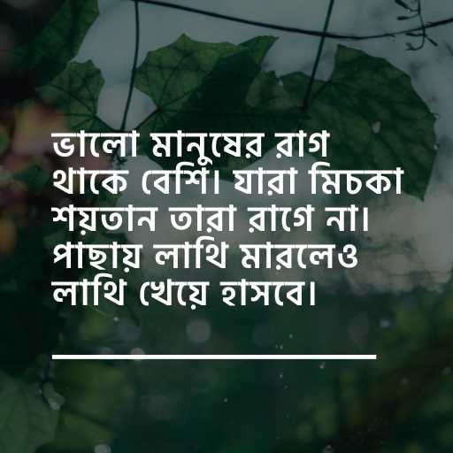 অসাধারন কিছু স্ট্যাটাস ছবি ৪