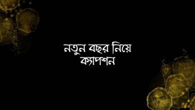 Caption about new year নতুন বছর নিয়ে ক্যাপশন
