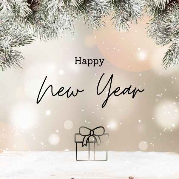 Happy New Year Caption Pic 1 নতুন বছর নিয়ে ক্যাপশন ছবি ১