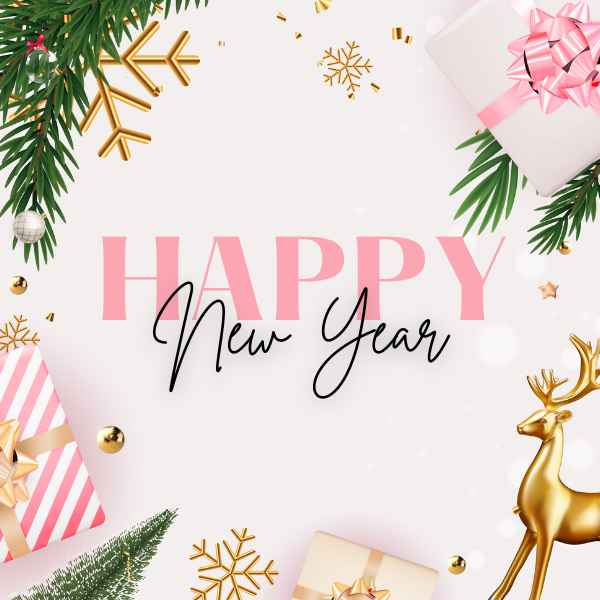 Happy New Year Caption Pic 2 নতুন বছর নিয়ে ক্যাপশন ছবি ২