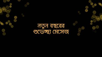 Happy new year SMS নতুন বছরের শুভেচ্ছা মেসেজ
