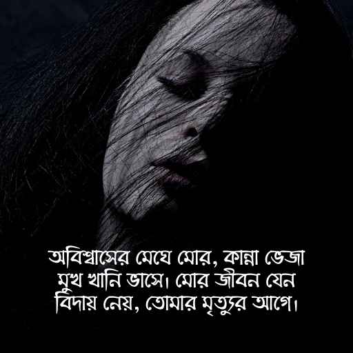 Meyeder koster chondo chobi 2 মেয়েদের কষ্টের ছন্দ ছবি ২