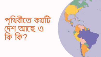 How many countries are in the world পৃথিবীতে কয়টি দেশ আছে