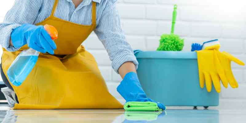 কাজের লোক