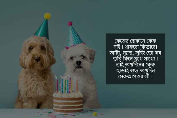 বন্ধুর জন্মদিনের শুভেচ্ছা স্ট্যাটাস ছবি ২