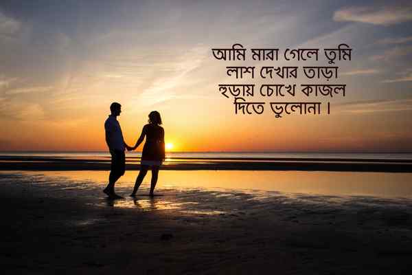 ছন্দ ছবি ২