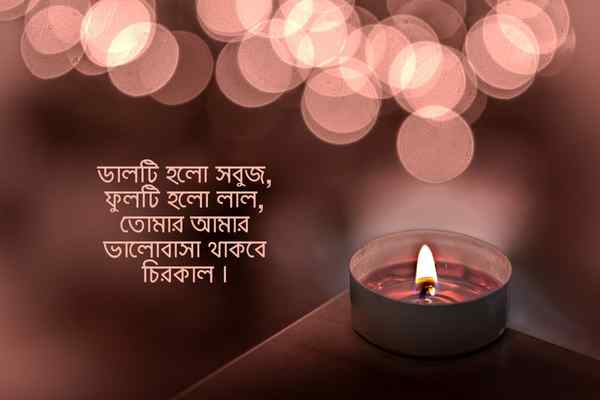 ছন্দ ছবি ৫