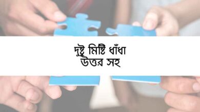 Dustu misti dhadha দুষ্টু মিষ্টি ধাঁধা উত্তর সহ