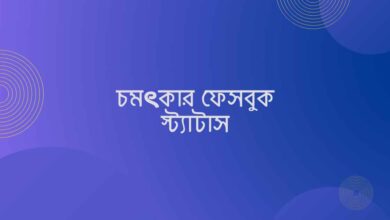 Excellent Facebook Status চমৎকার ফেসবুক স্ট্যাটাস