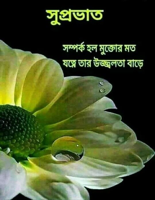 Suprovat Suvo Sokal Chobi 3 সুপ্রভাত শুভ সকাল ছবি ৩