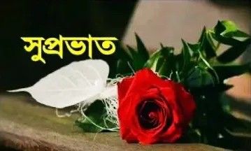Suprovat Suvo Sokal Chobi 5 সুপ্রভাত শুভ সকাল ছবি ৫