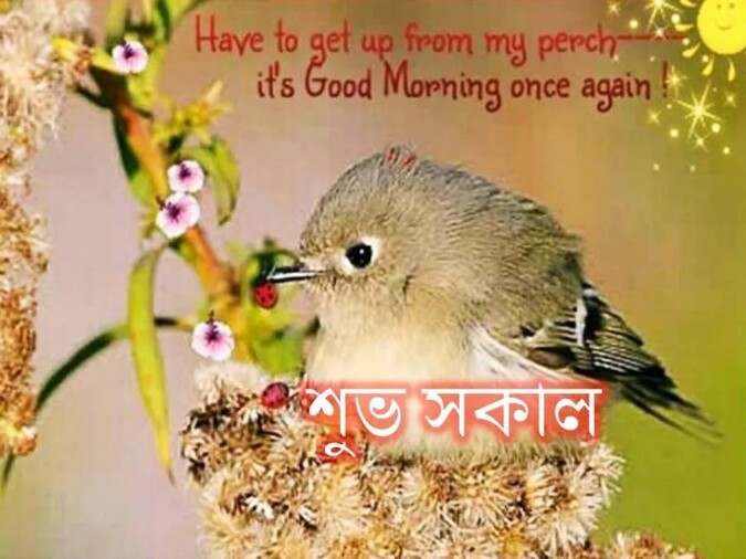 Suprovat Suvo Sokal Chobi 6 সুপ্রভাত শুভ সকাল ছবি ৬