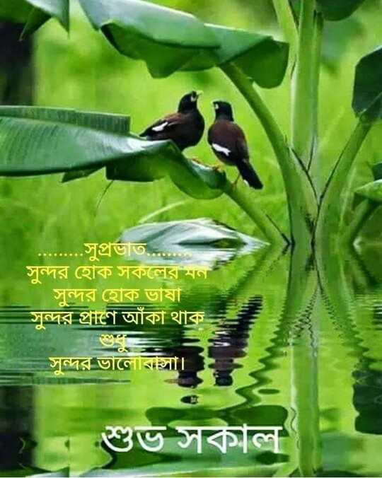 Suprovat Suvo Sokal Chobi 7 সুপ্রভাত শুভ সকাল ছবি ৭