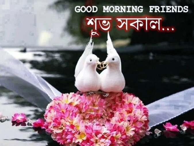 Suprovat Suvo Sokal Chobi 8 সুপ্রভাত শুভ সকাল ছবি ৮