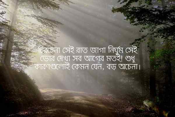 Depression Status Bangla 2 ডিপ্রেশন স্ট্যাটাস বাংলা ছবি ২