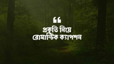 Romantic captions about nature প্রকৃতি নিয়ে রোমান্টিক ক্যাপশন