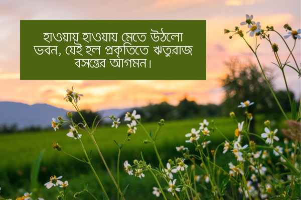 প্রকৃতি নিয়ে রোমান্টিক ক্যাপশন ছবি ১