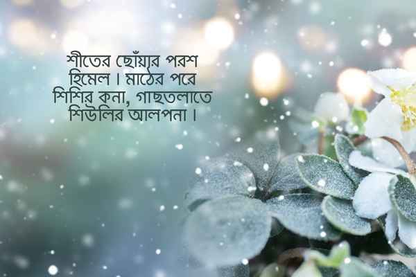 প্রকৃতি নিয়ে রোমান্টিক ক্যাপশন ছবি ৩
