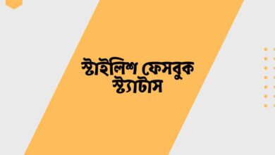 Stylish Facebook Status স্টাইলিশ ফেসবুক স্ট্যাটাস