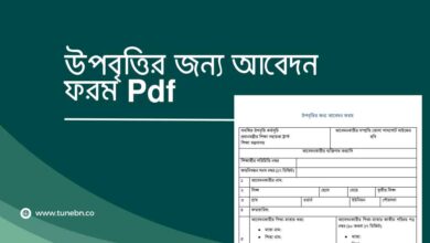 Upobrritir jonno abedon form pdf উপবৃত্তির জন্য আবেদন ফরম Pdf