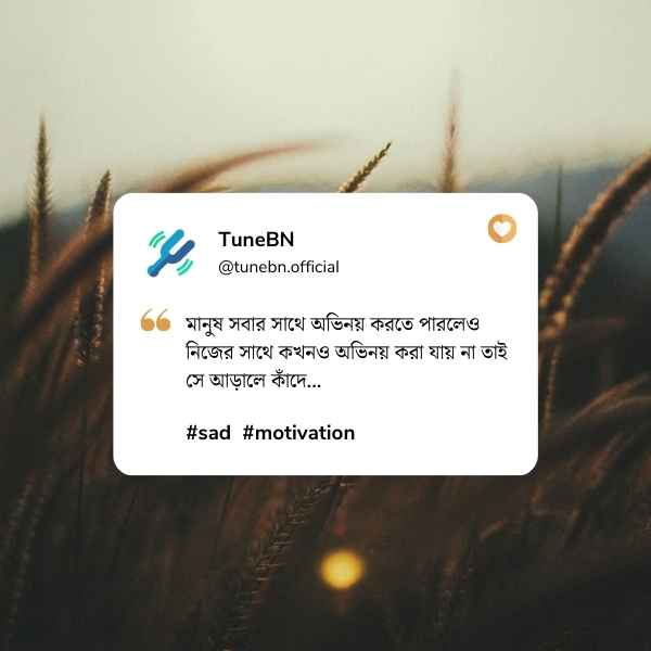 Bangla Status Pic 3 বাংলা স্ট্যাটাস ছবি ৩