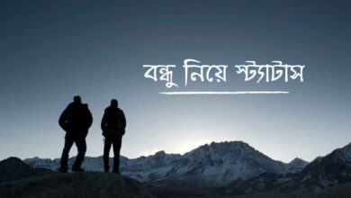 Bondhu Niye Status বন্ধু নিয়ে স্ট্যাটাস