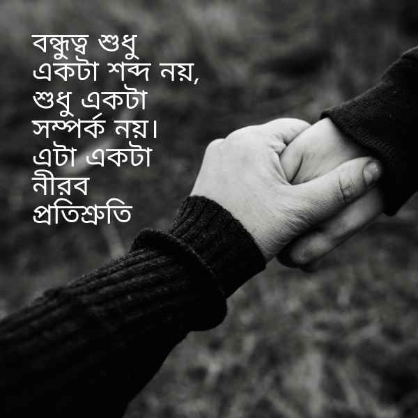 Bondhu Niye Status Pic 1 বন্ধু নিয়ে স্ট্যাটাস ছবি ১